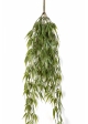 Bamboo Hanging Bush 60-115 cm