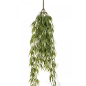 Bamboo Hanging Bush 60-115 cm