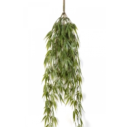 Bamboo Hanging Bush 60-115 cm