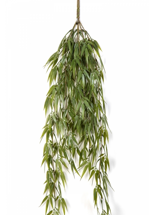 Bamboo Hanging Bush 60-115 cm