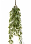 Bamboo Hanging Bush 60-115 cm
