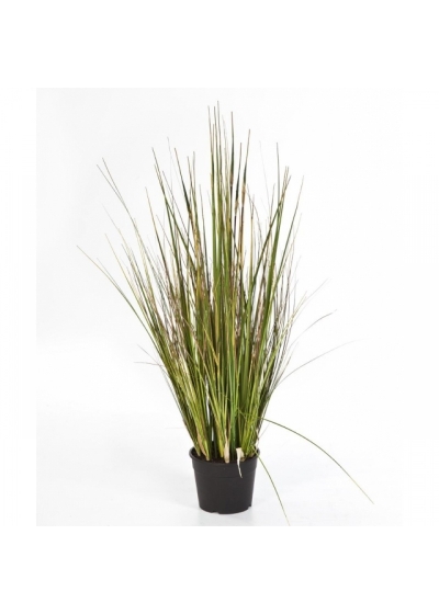 Bamboo grass x 5 90-150 cm
