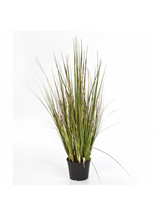 Bamboo grass x 5 90-150 cm