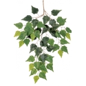 Birch spray x 3 3 cm