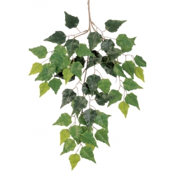 Birch spray x 3 3 cm
