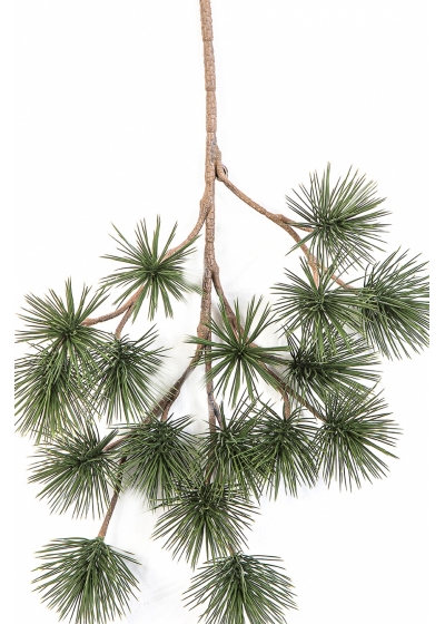 Bonzai Pinus Parviflor Spray 45 cm