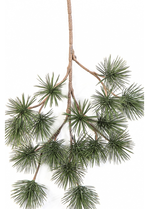 Bonzai Pinus Parviflor Spray 45 cm