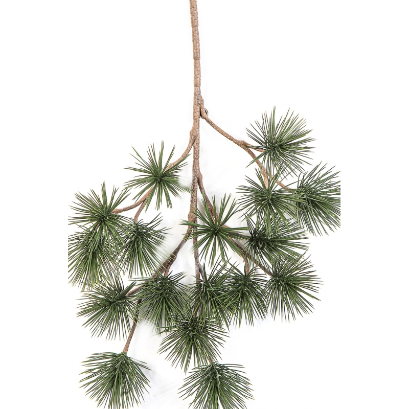 Bonzai Pinus Parviflor Spray 45 cm