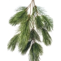 Bonzai pinus spray x 18 90 cm