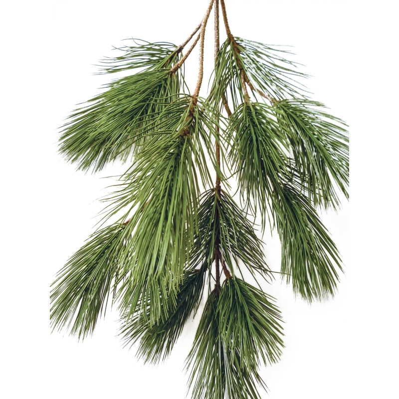 Bonzai pinus spray x 18 90 cm