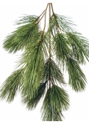 Bonzai pinus spray x 18 90 cm