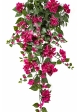 Bougainvillea Hanging Bush Fuchsia - UV 100 cm