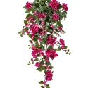 Bougainvillea Hanging Bush Fuchsia - UV 100 cm