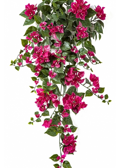 Bougainvillea Hanging Bush Fuchsia - UV 100 cm