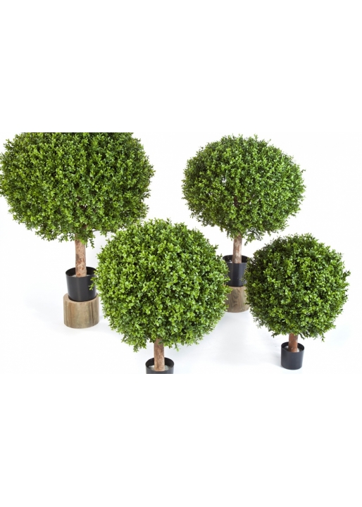 Boxwood Ball 30-120 cm