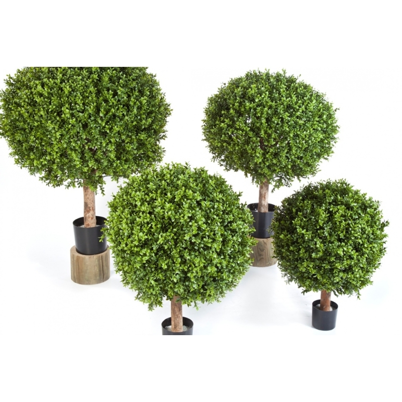 Boxwood Ball 30-120 cm