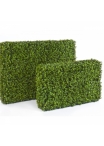 Boxwood Hedge 90 X 120 85 cm