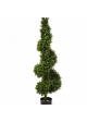 Boxwood Royal Spiral Tree 135 cm