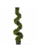 Boxwood Spiral Tree 135 cm