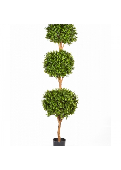 Boxwood Triple Ball Tree 190 cm