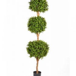 Boxwood Triple Ball Tree 190 cm