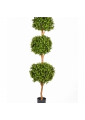 Boxwood Triple Ball Tree 190 cm
