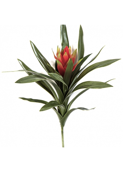 Bromelia Ginger Red 40 cm