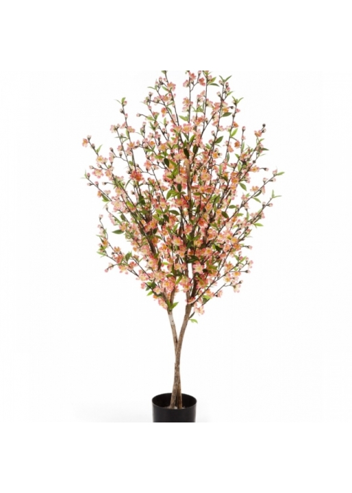 CHERRY BLOSSOM 140-170 cm