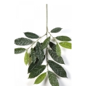 Cacao Spray x 19 leaves 83 cm