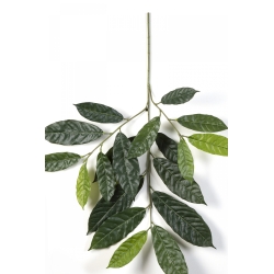 Cacao Spray x 19 leaves 83 cm