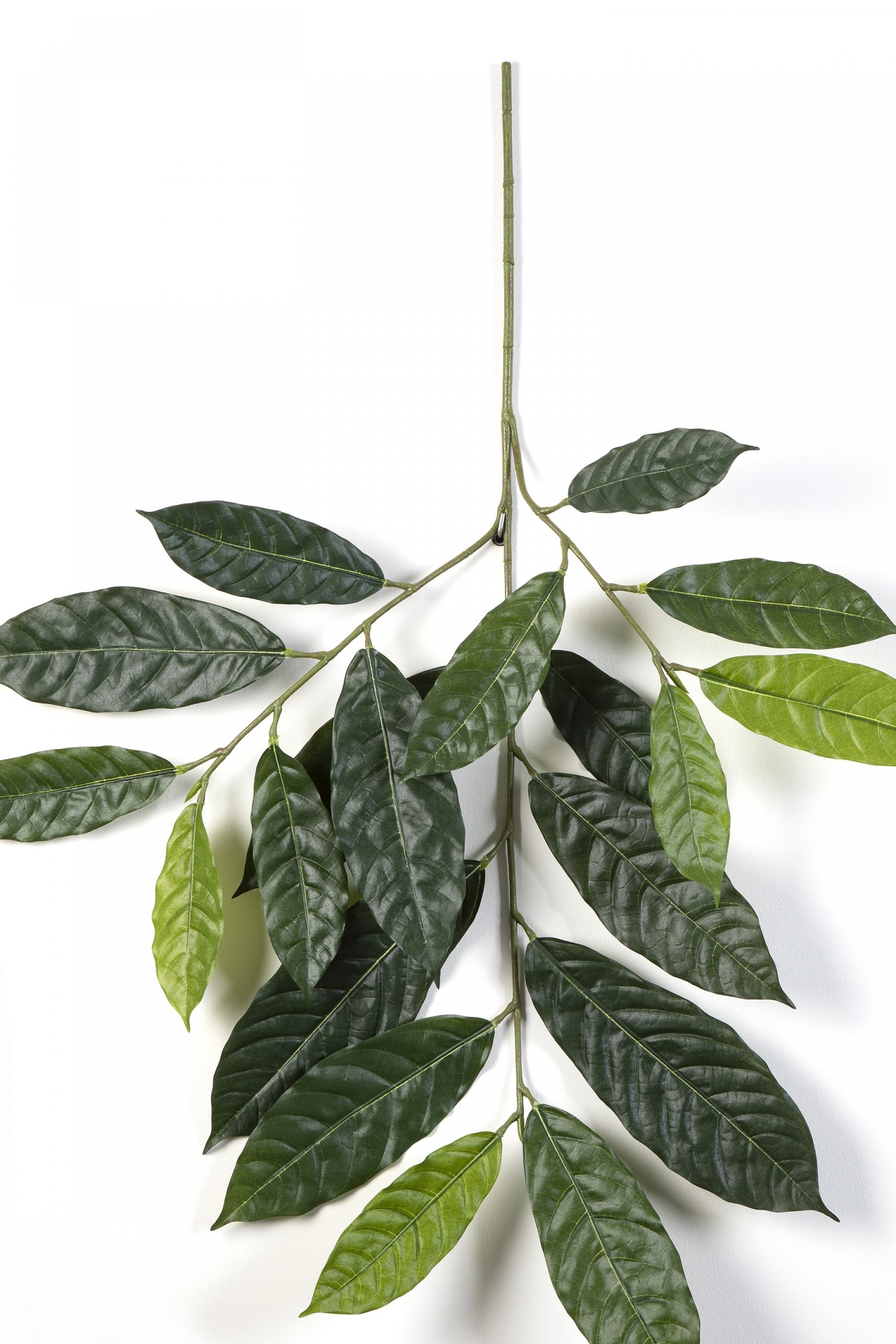 Cacao Spray x 19 leaves 83 cm