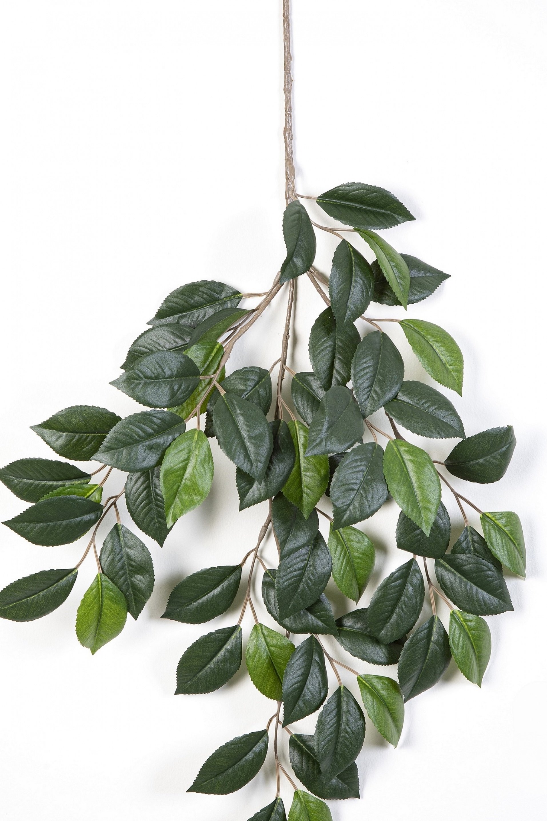 Camelia spray x 3 55 cm