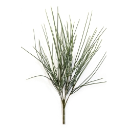 Canyon Grass Bunch - UV 54 cm