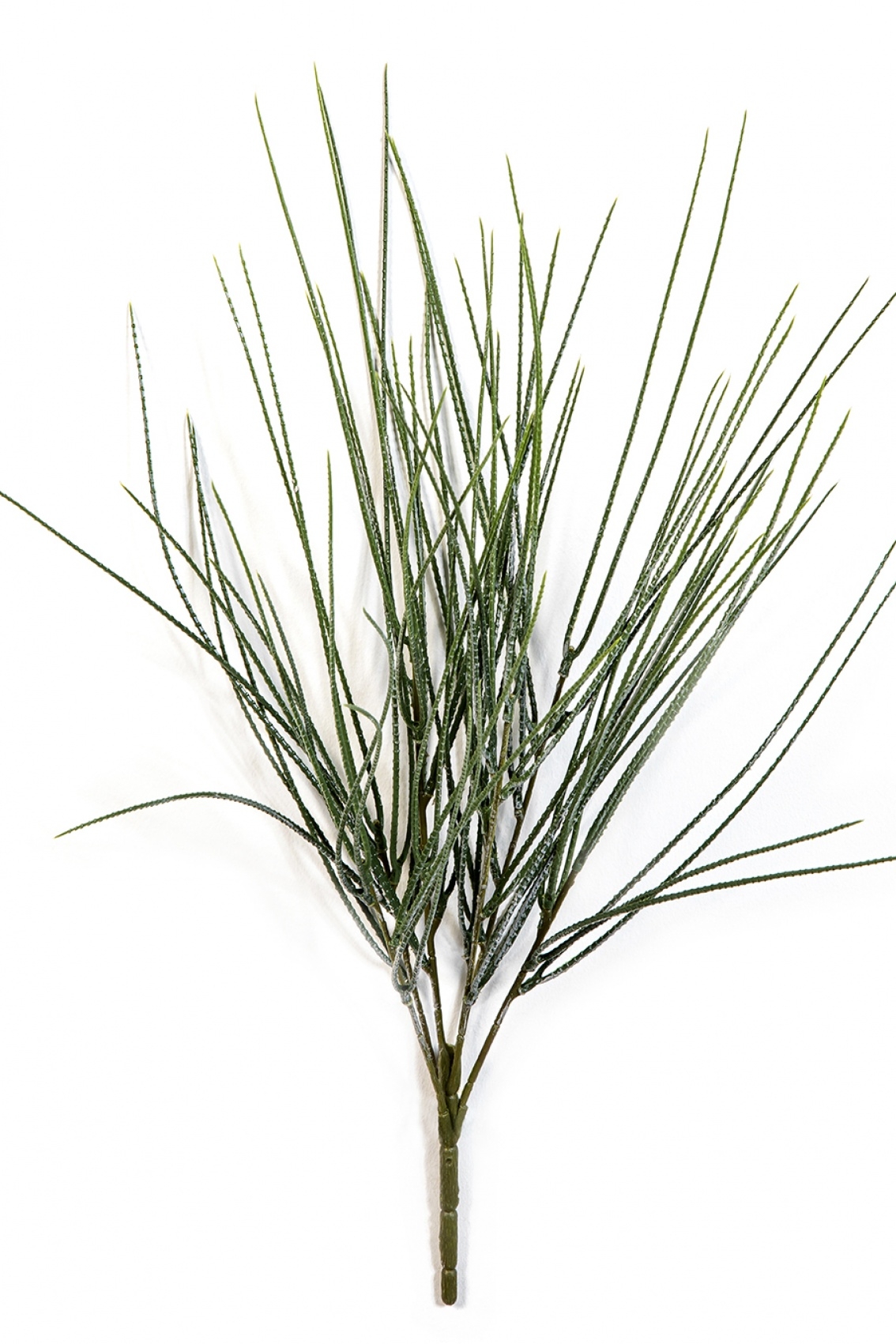 Canyon Grass Bunch - UV 54 cm