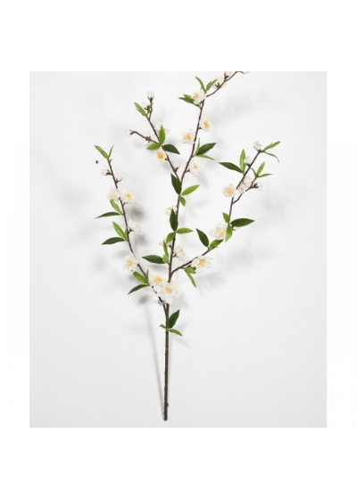 Cherry Blossom Spray Cream 64 cm