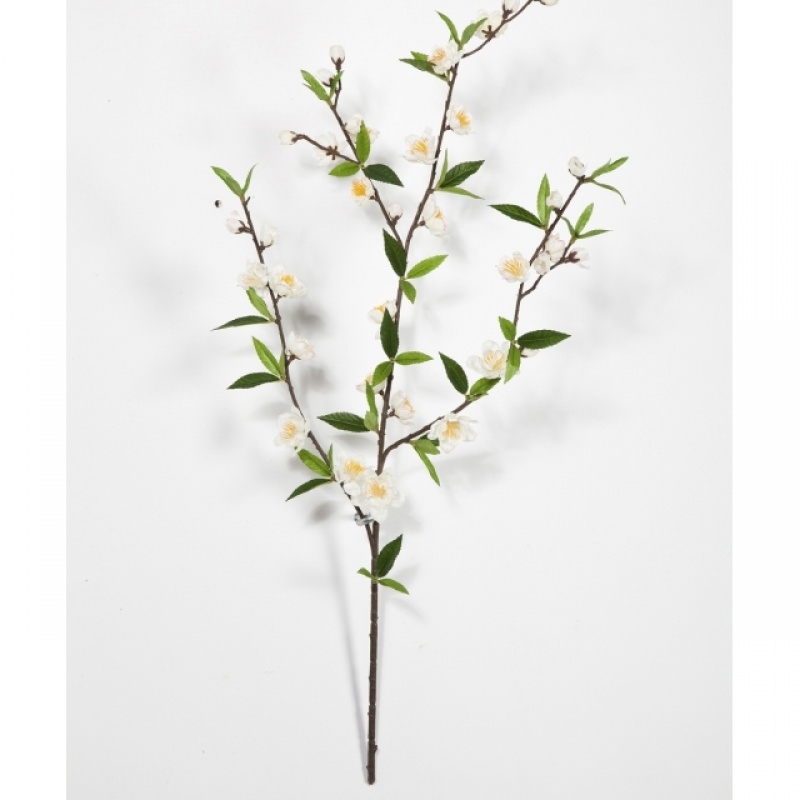 Cherry Blossom Spray Cream 64 cm