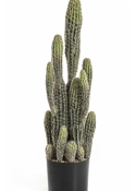Column Cactus 76 cm