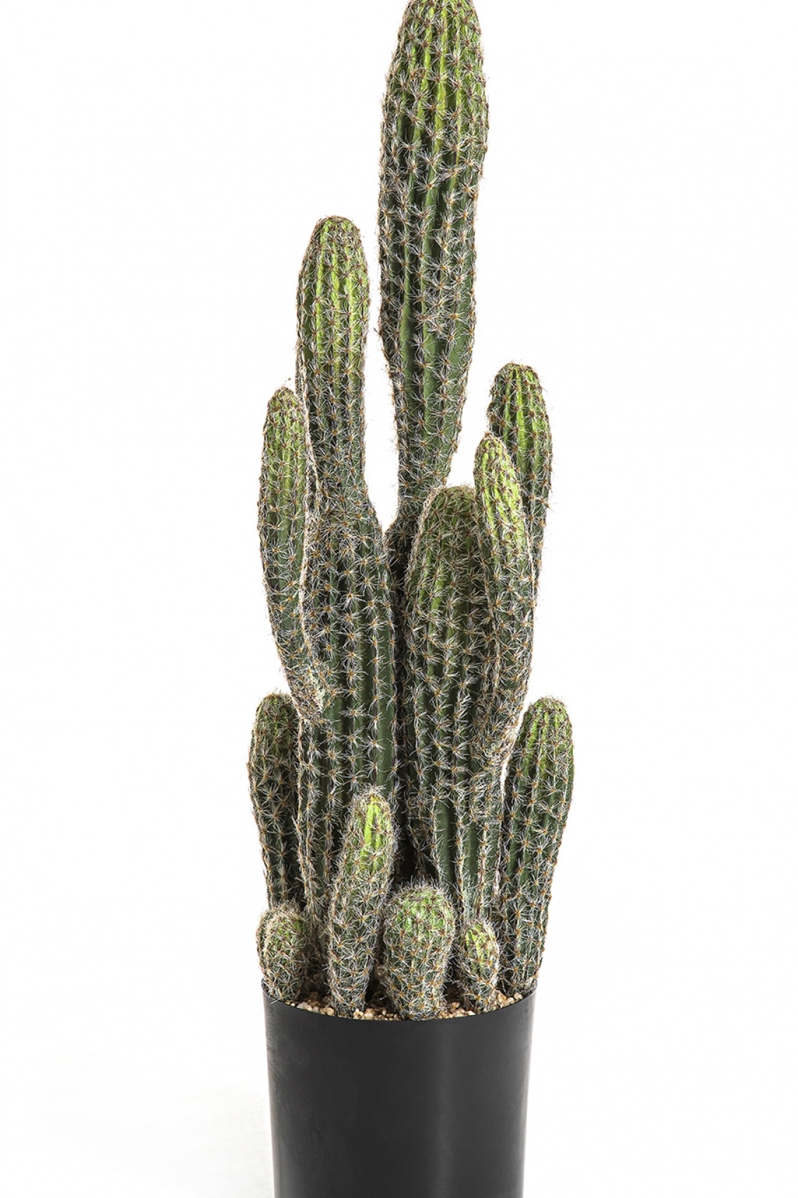 Column Cactus 76 cm