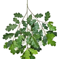 Common Oak Spray 60 cm