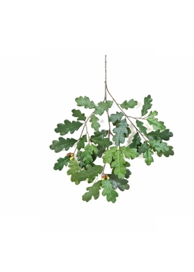 Common Oak Spray with Fruits 60 cm
