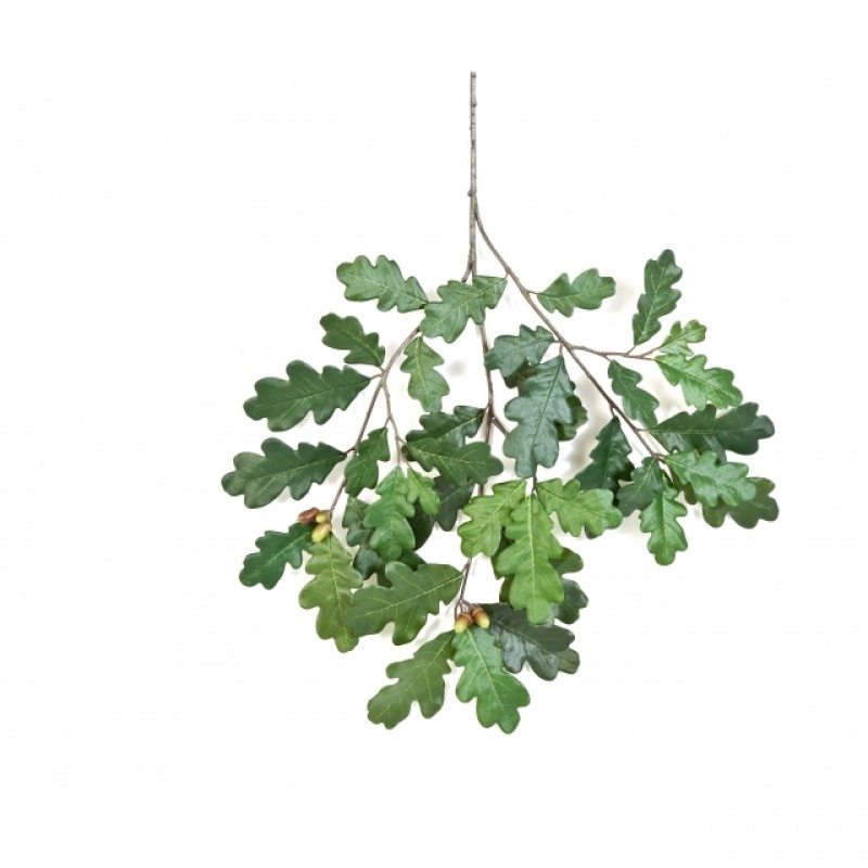 Common Oak Spray with Fruits 60 cm