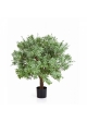 Crossostephium Ball Tree 60 cm