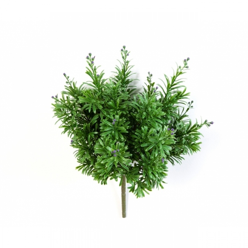 Crossostephium bush with berries 38 cm