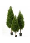 Cypress Tree 150 cm