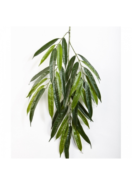 Deluxe longifolia spray x 37 68 cm