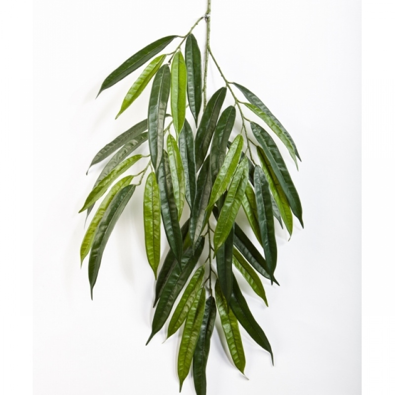 Deluxe longifolia spray x 37 68 cm