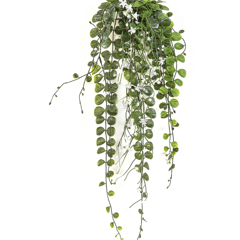 Dichondra Hanging Bush Cream - UV 58 cm