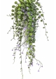 Dichondra Hanging Bush Purple - UV 58 cm