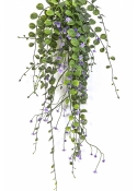 Dichondra Hanging Bush Purple - UV 58 cm