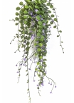 Dichondra Hanging Bush Purple - UV 58 cm